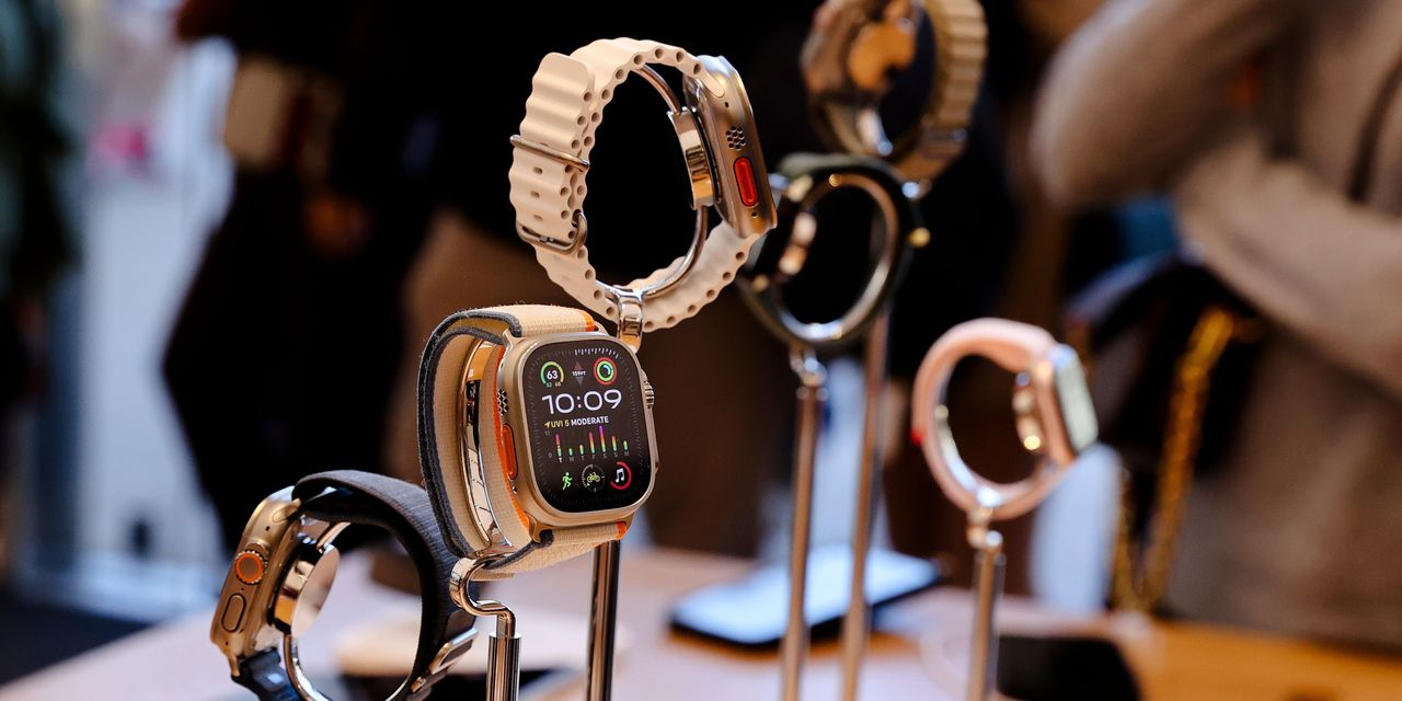 US appeals court gave Apple a big victory by temporarily suspending a federal commission's import ban on certain Apple smartwatches.