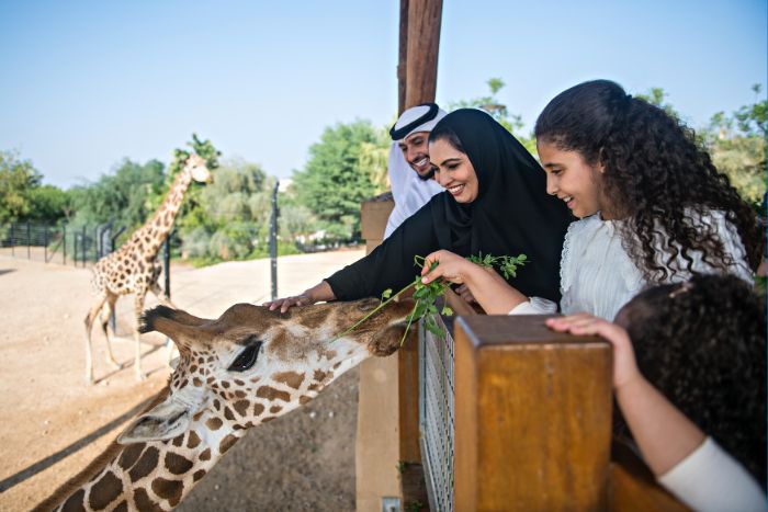 Iftar with the Giraffes 1