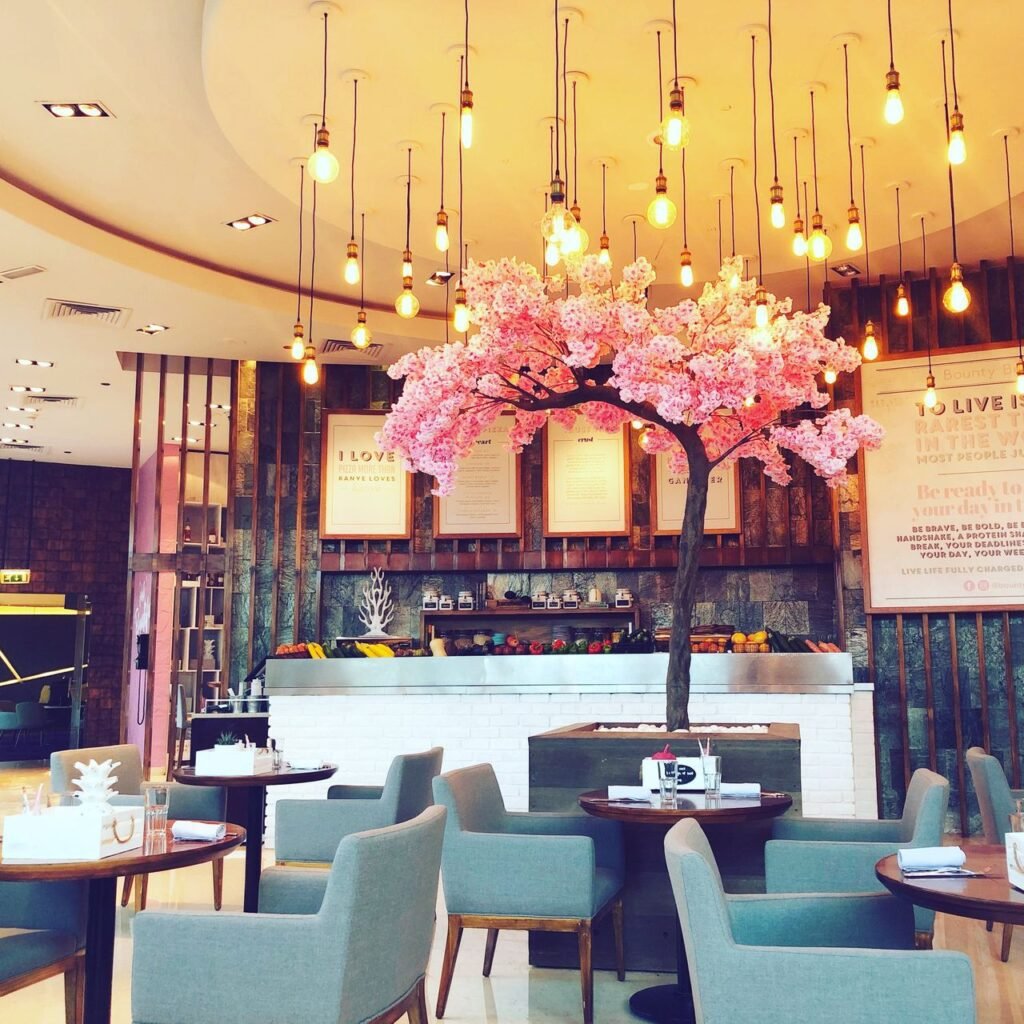 Bounty Beets | Top 6 Breakfast Places In Dubai