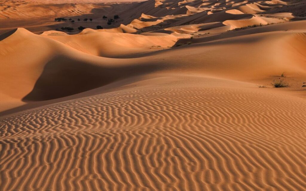 martin desert photo 1080x675 1