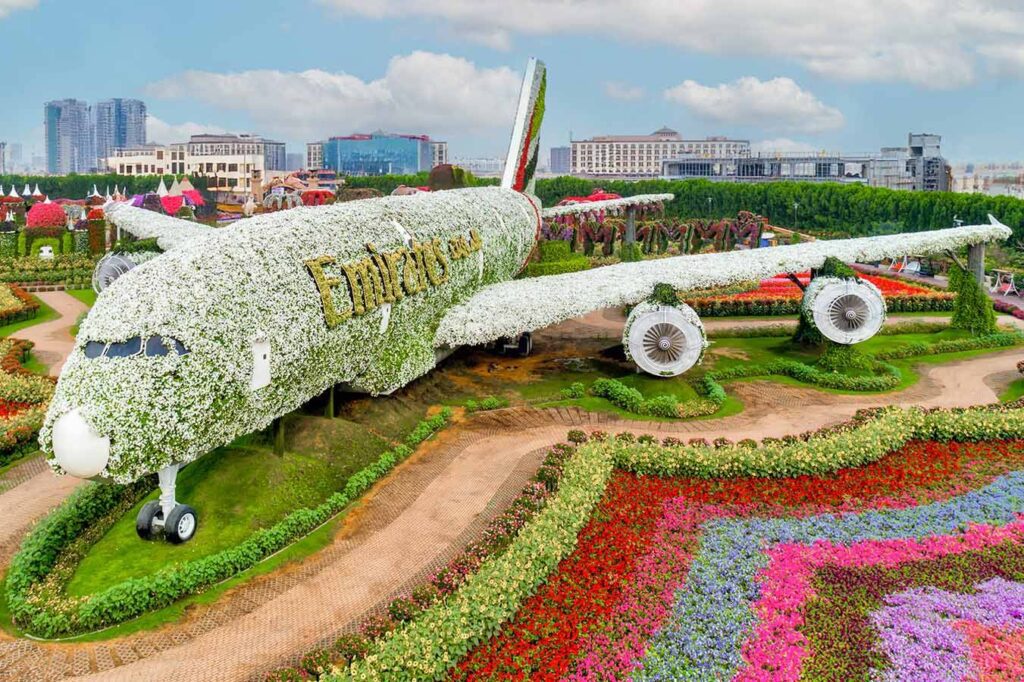 miracle garden