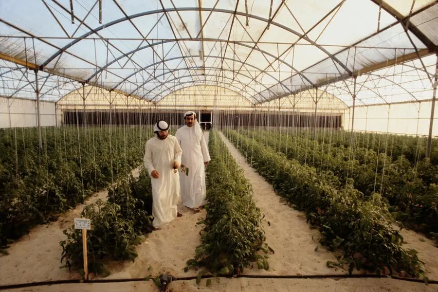 UAE