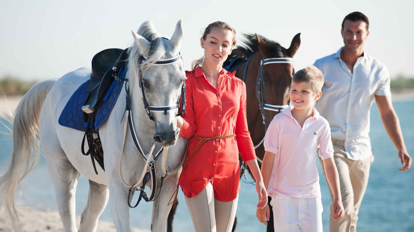 Sir Bani Yas Horse Safari