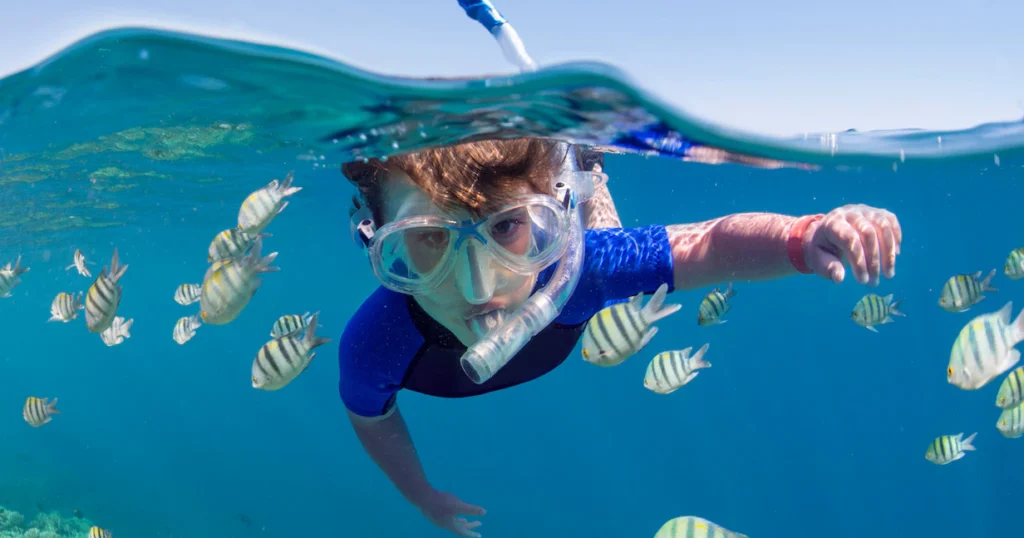 Sea Safari Snorkeling