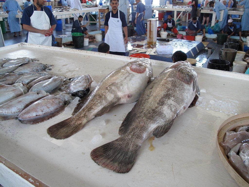 Fujairah Fish Market