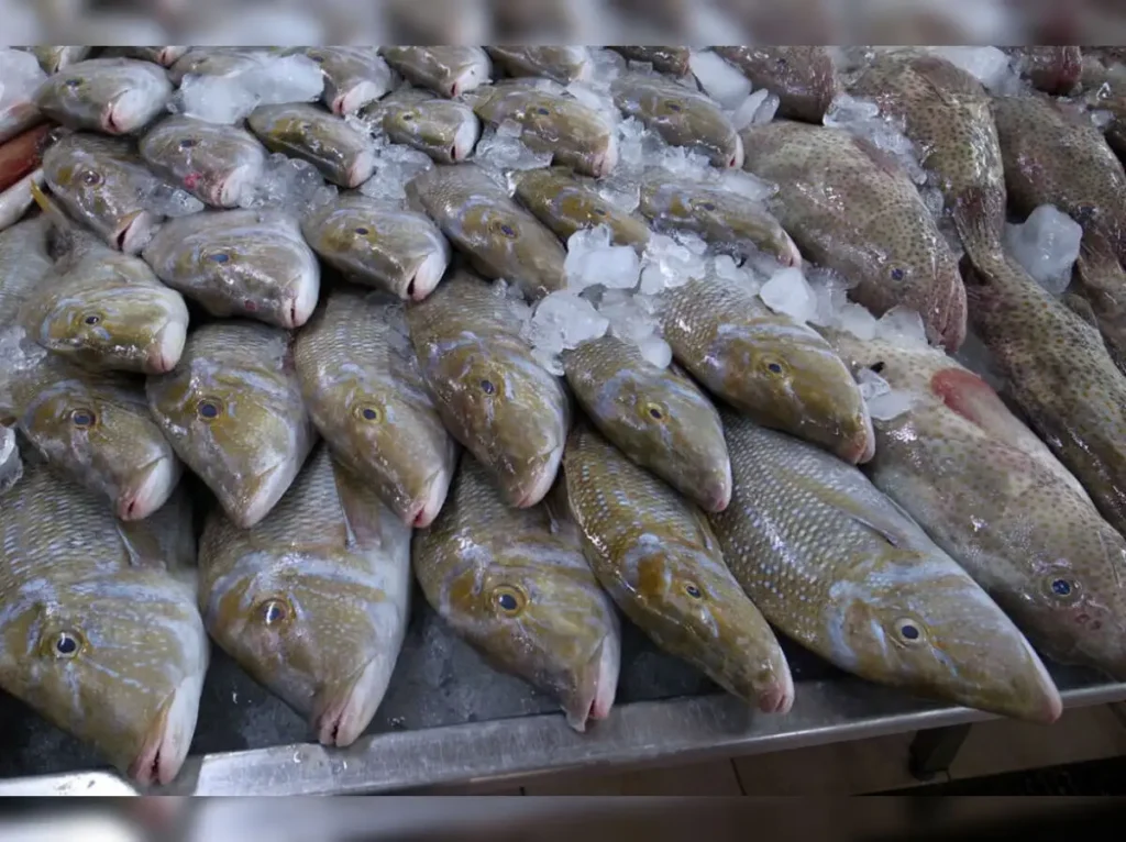 Mina Animal Market