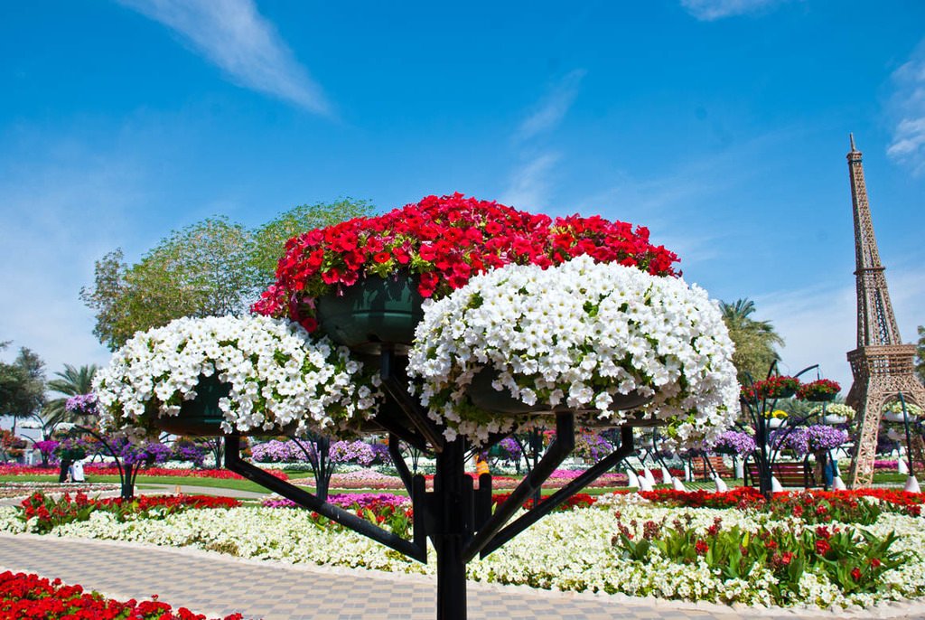 Flower Market