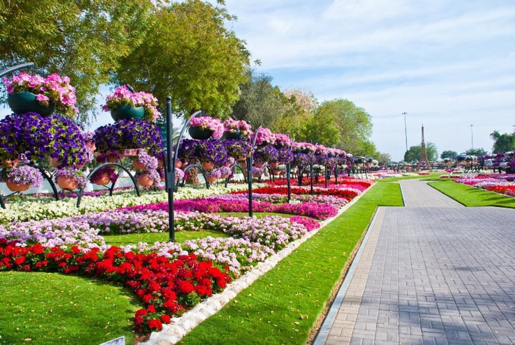 Flower Market