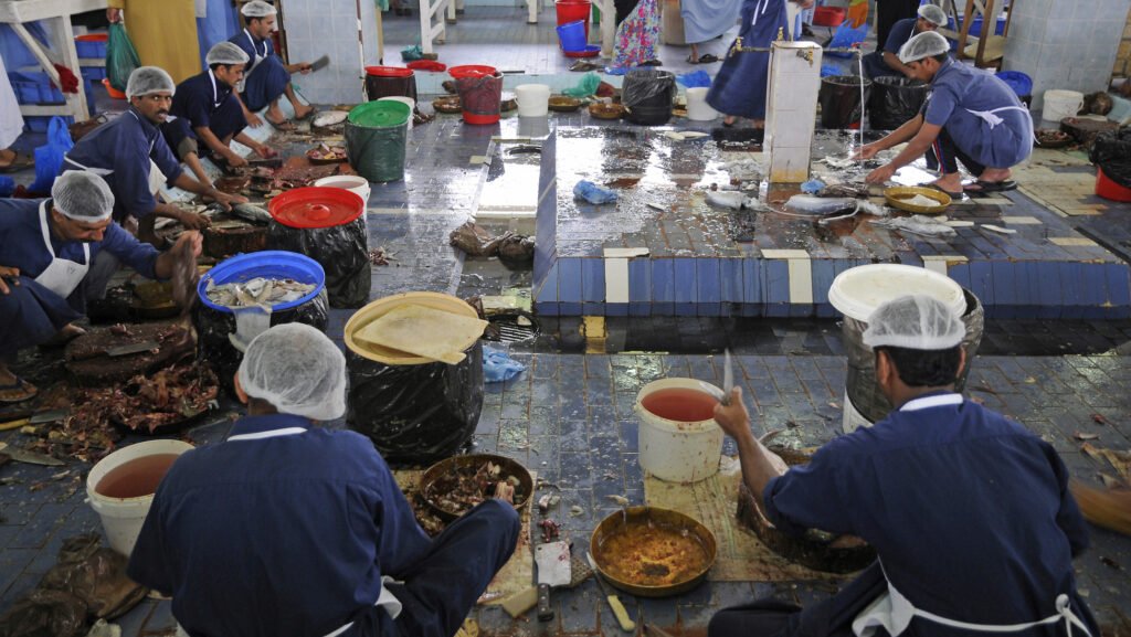Fujairah Fish Market