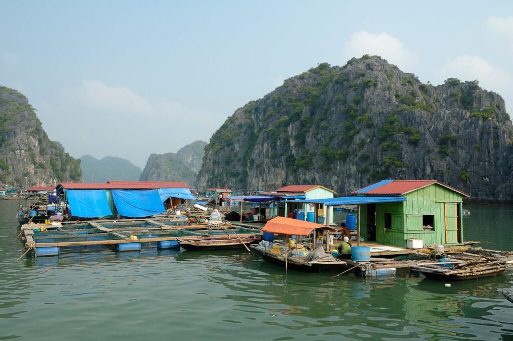 Delma Island