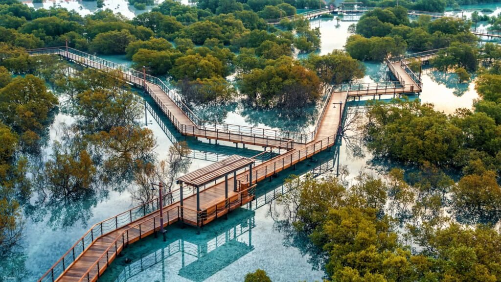 Eco-Tourism 