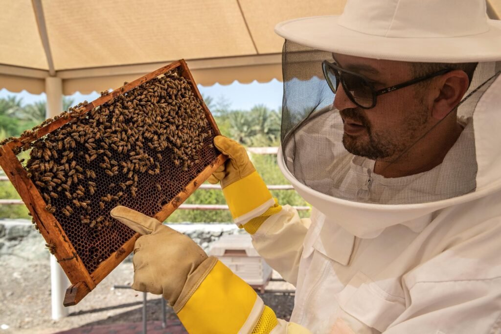 Hatta Honey Farm