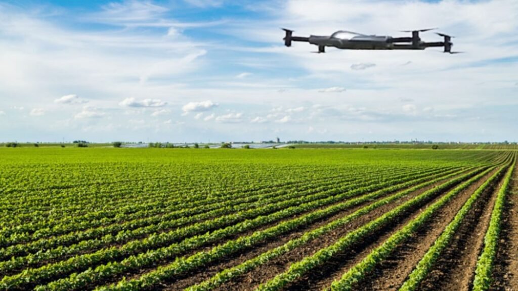 Farmers