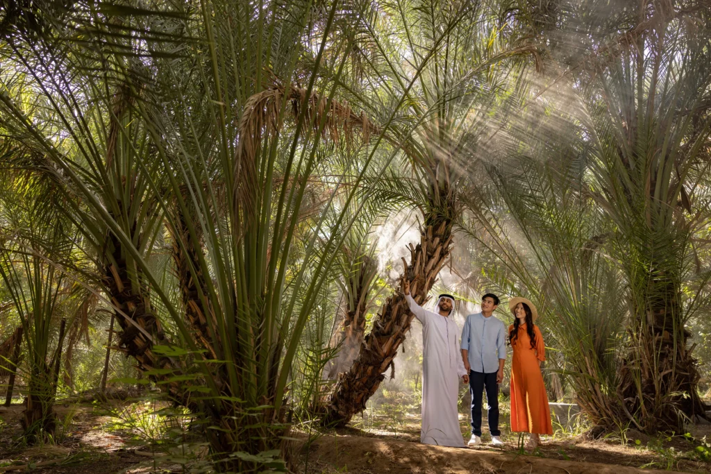 Al Ain Oasis