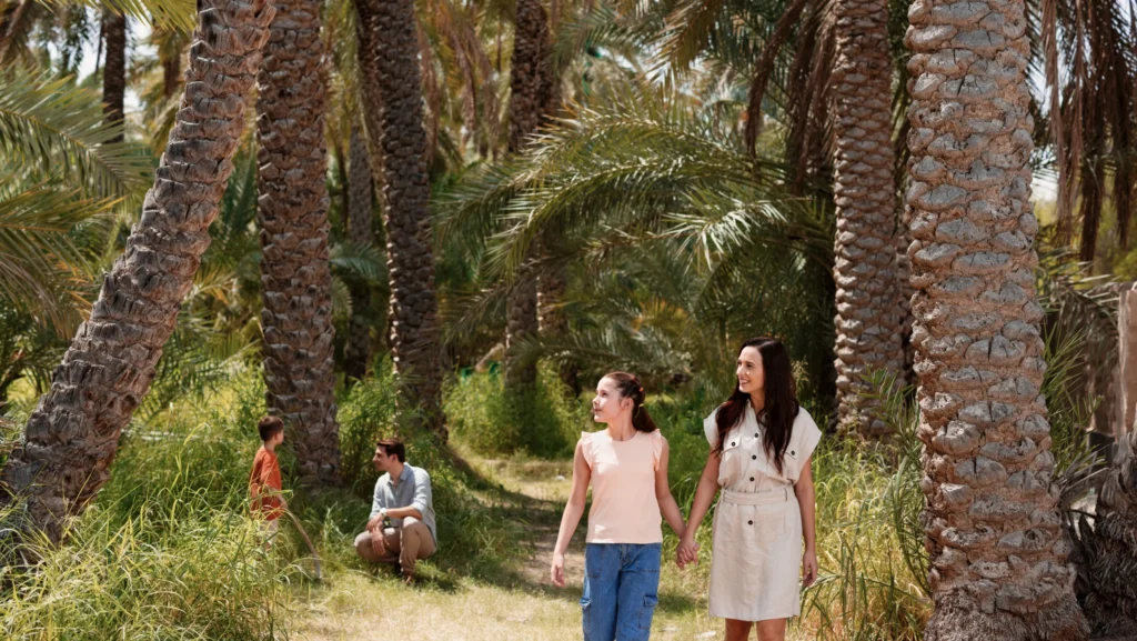 Al Ain Oasis