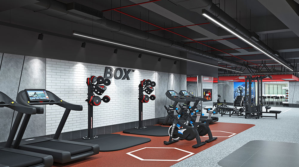 Gyms