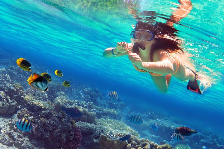 Sea Safari Snorkeling