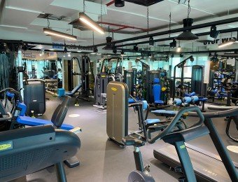 Gyms