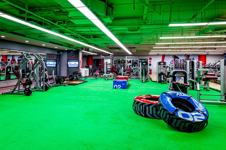 Gyms