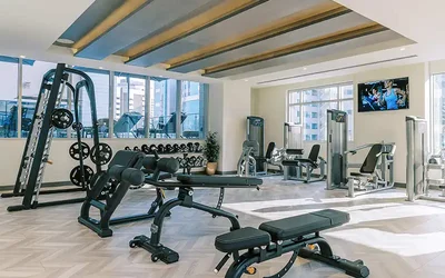 Gyms