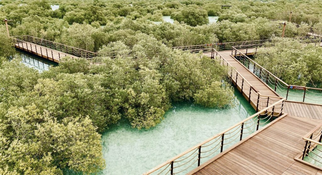 Jubail Mangrove Park
