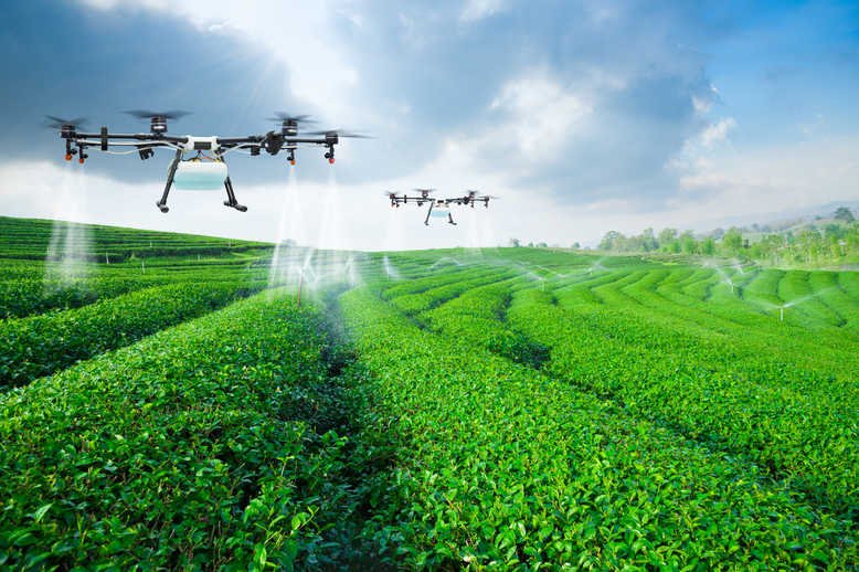 Food Security