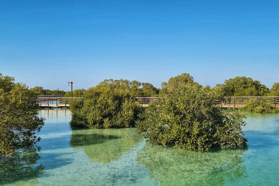 Jubail Mangrove Park