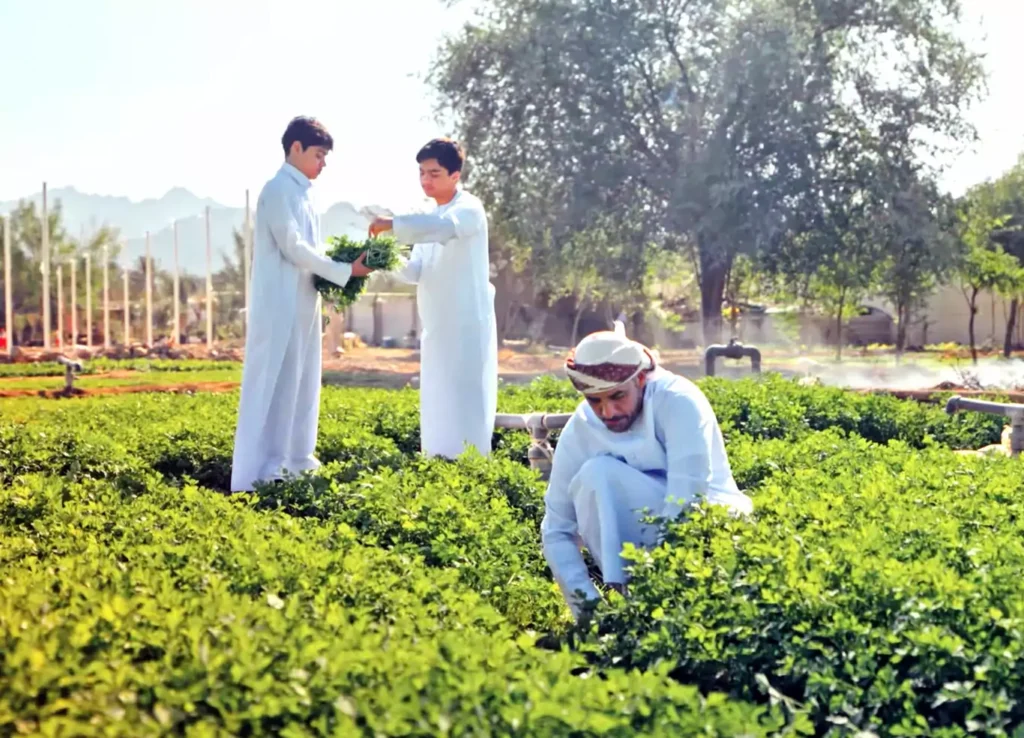 Local Farmers