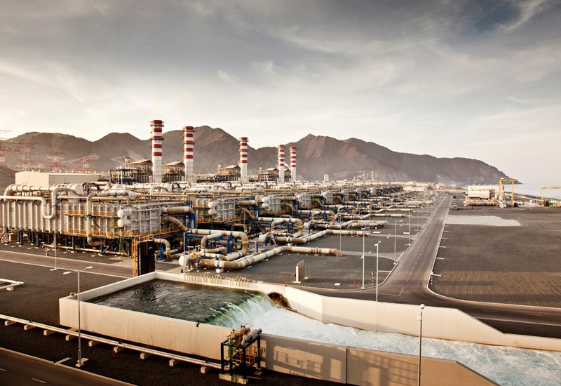 Largest Water Plant