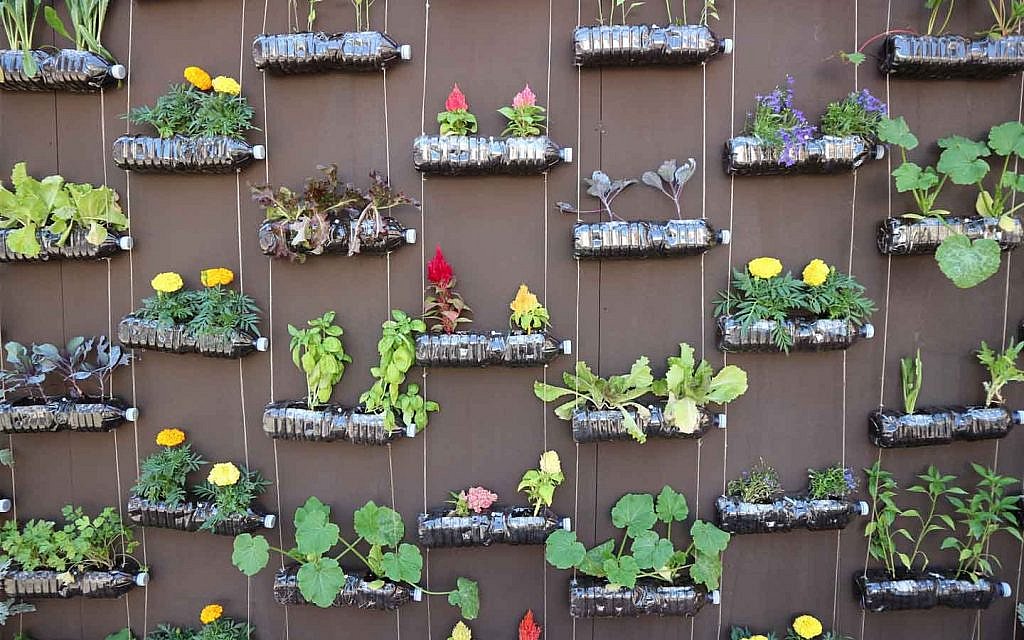 Vertical Gardens