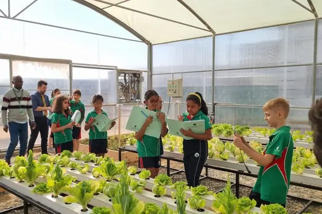 Composting Program
