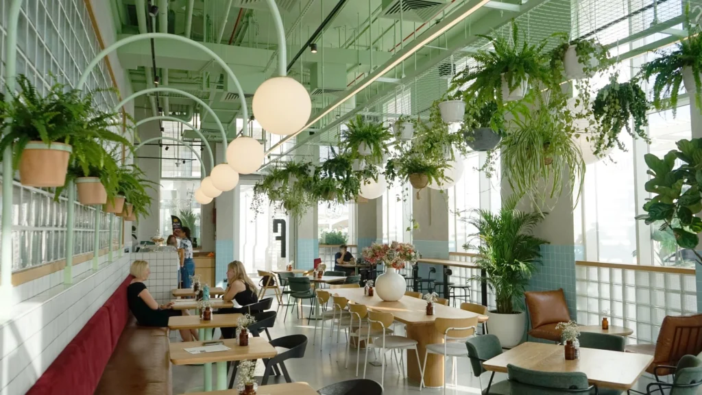 Cafes