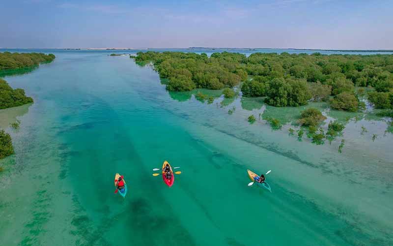 Jubail Mangrove Park