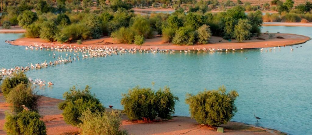 Nature Parks