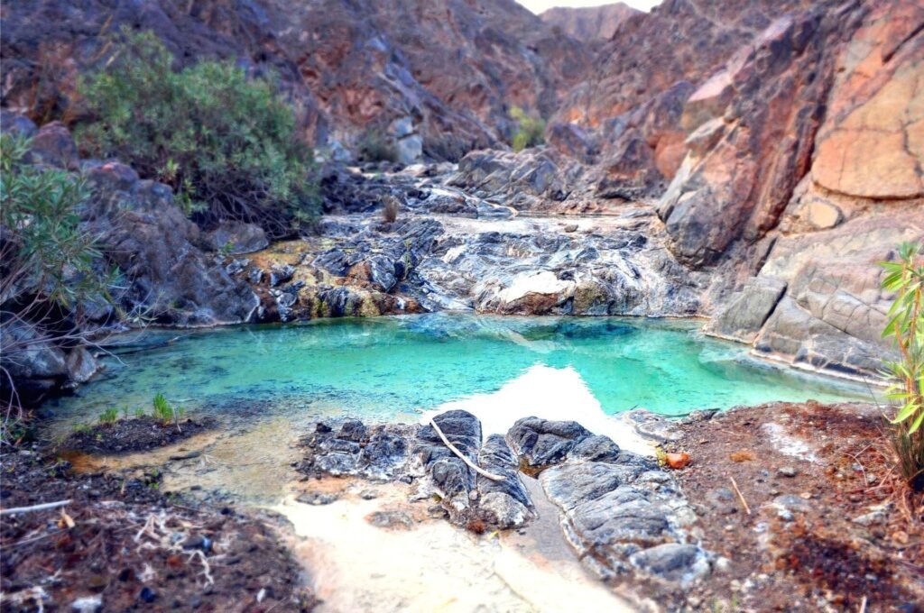 Oasis Spots