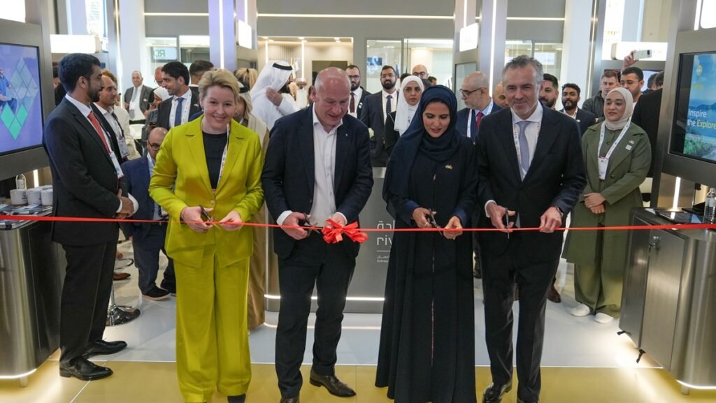 UAE IT services sector