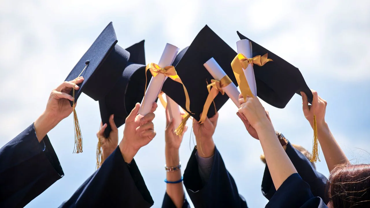 Higher Education