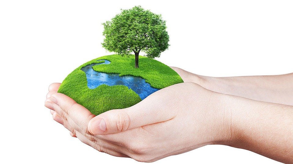 Environmental Damage