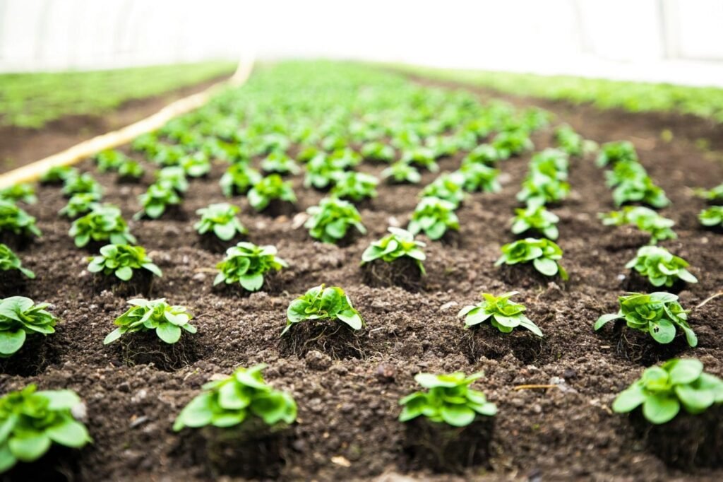 Composting Program