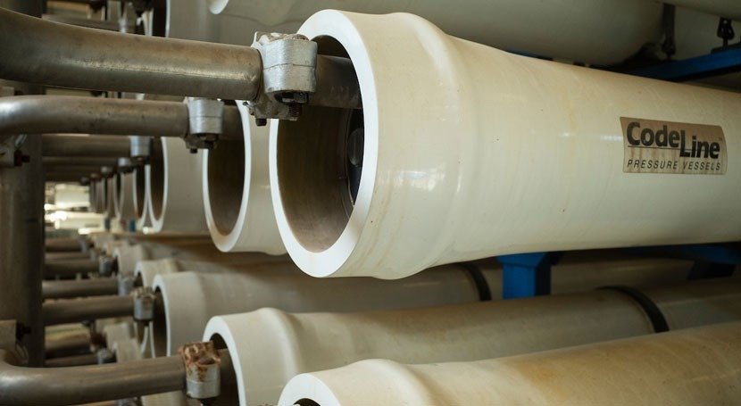 Largest Water Plant