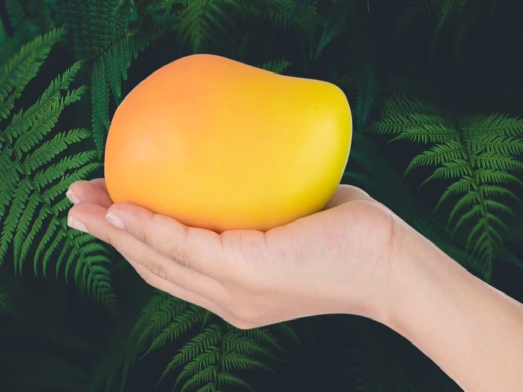 Indian Mango 