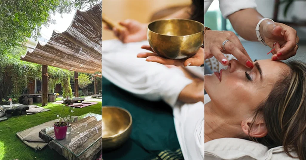 Wellness