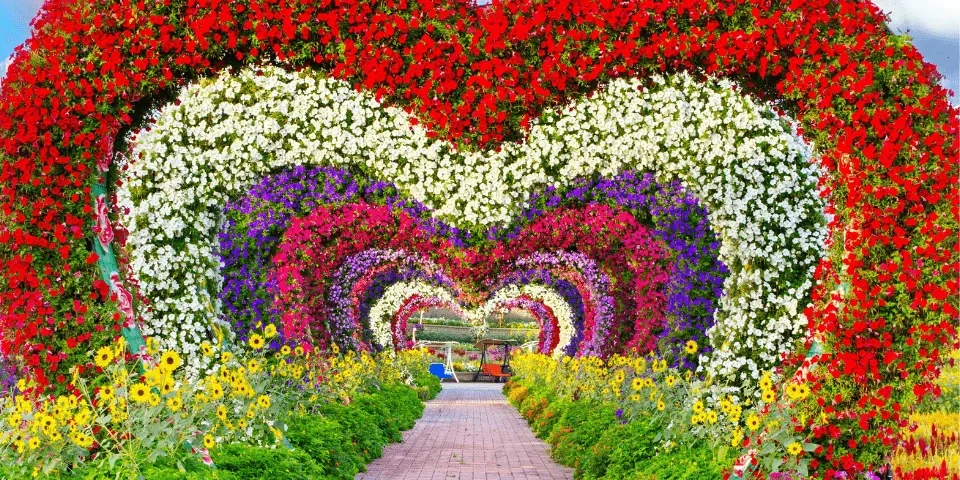 Dubai Miracle Garden