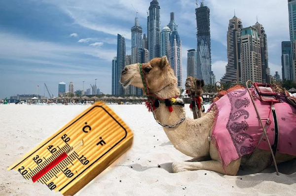 UAE Summer Temperatures
