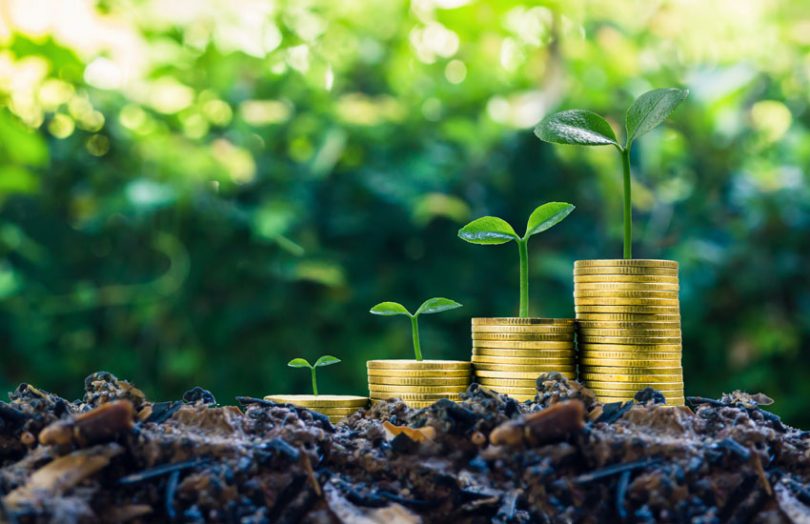 MENA sustainable bond market