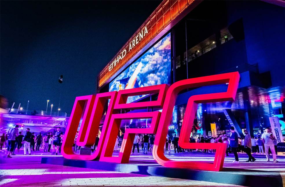 UFC 3213