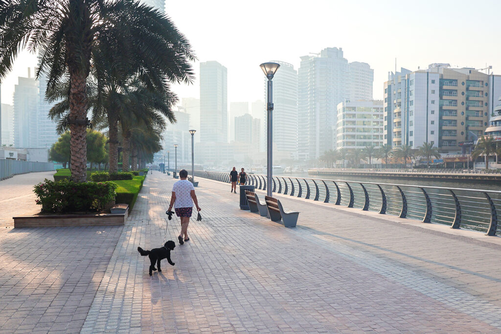UAE pet insurance