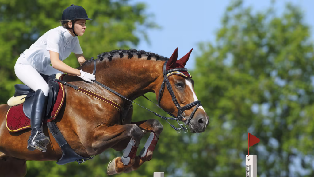 Horse Riding Club Dubai