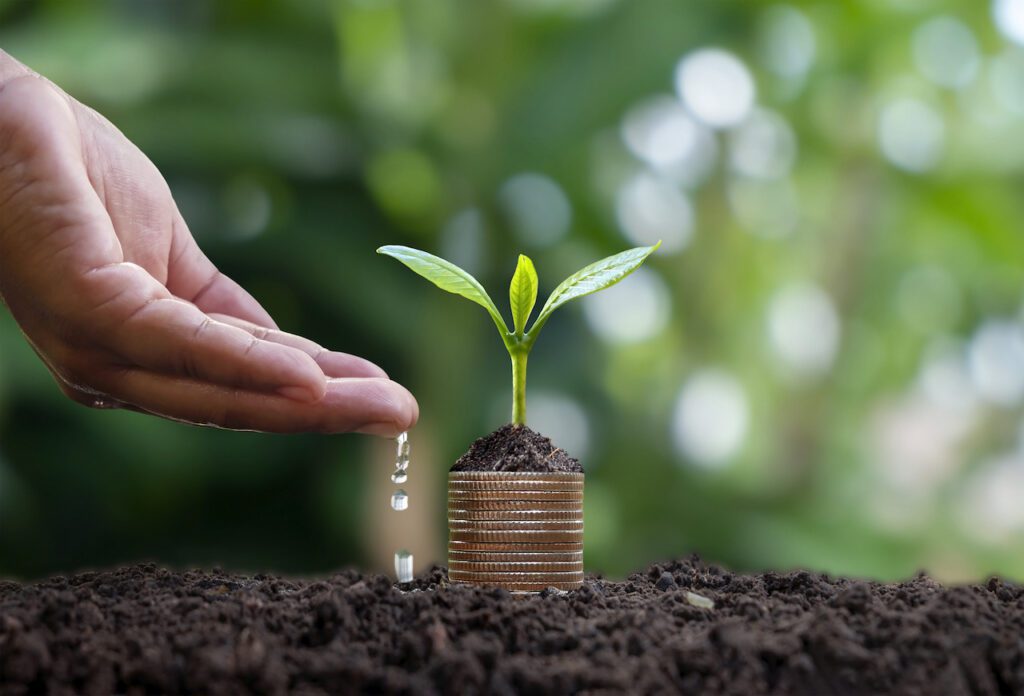 MENA sustainable bond market