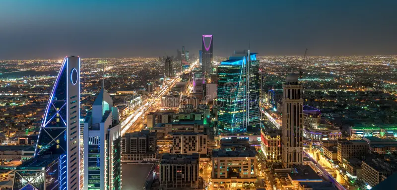 Saudi Arabia excise tax